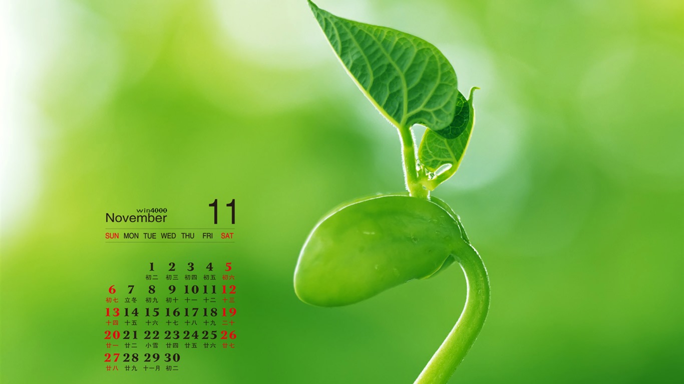 November 2016 calendar wallpaper (2) #6 - 1366x768