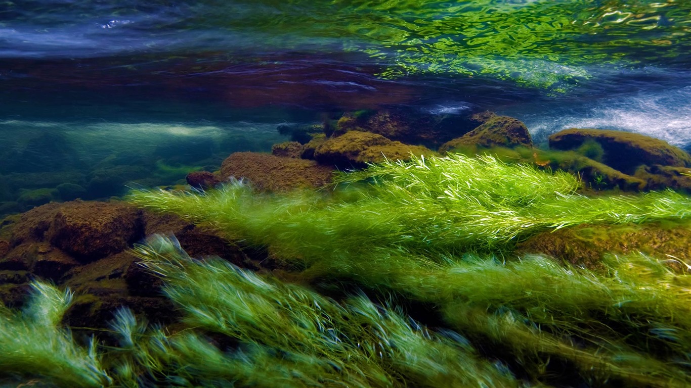 Září 2016 Bing téma HD tapety na plochu (1) #4 - 1366x768