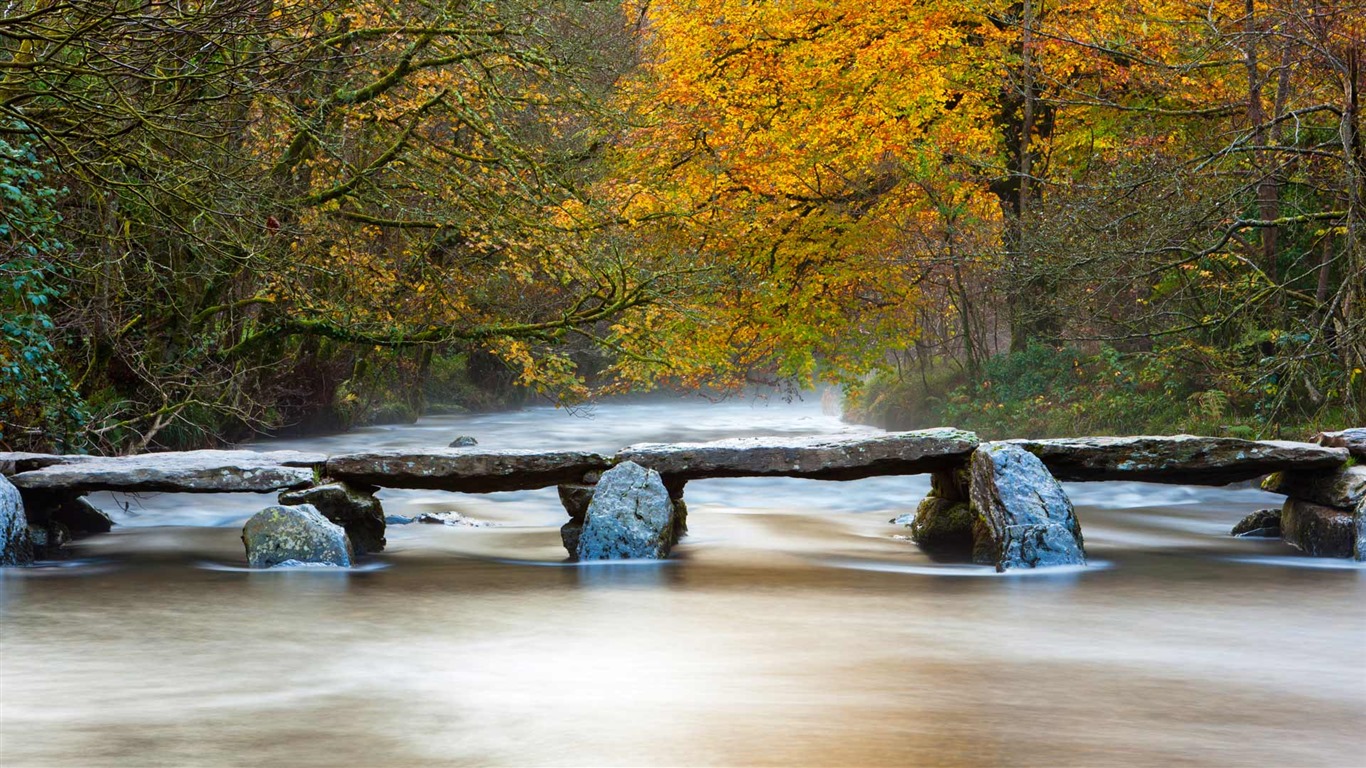 September 2016 Bing theme HD wallpapers (1) #11 - 1366x768