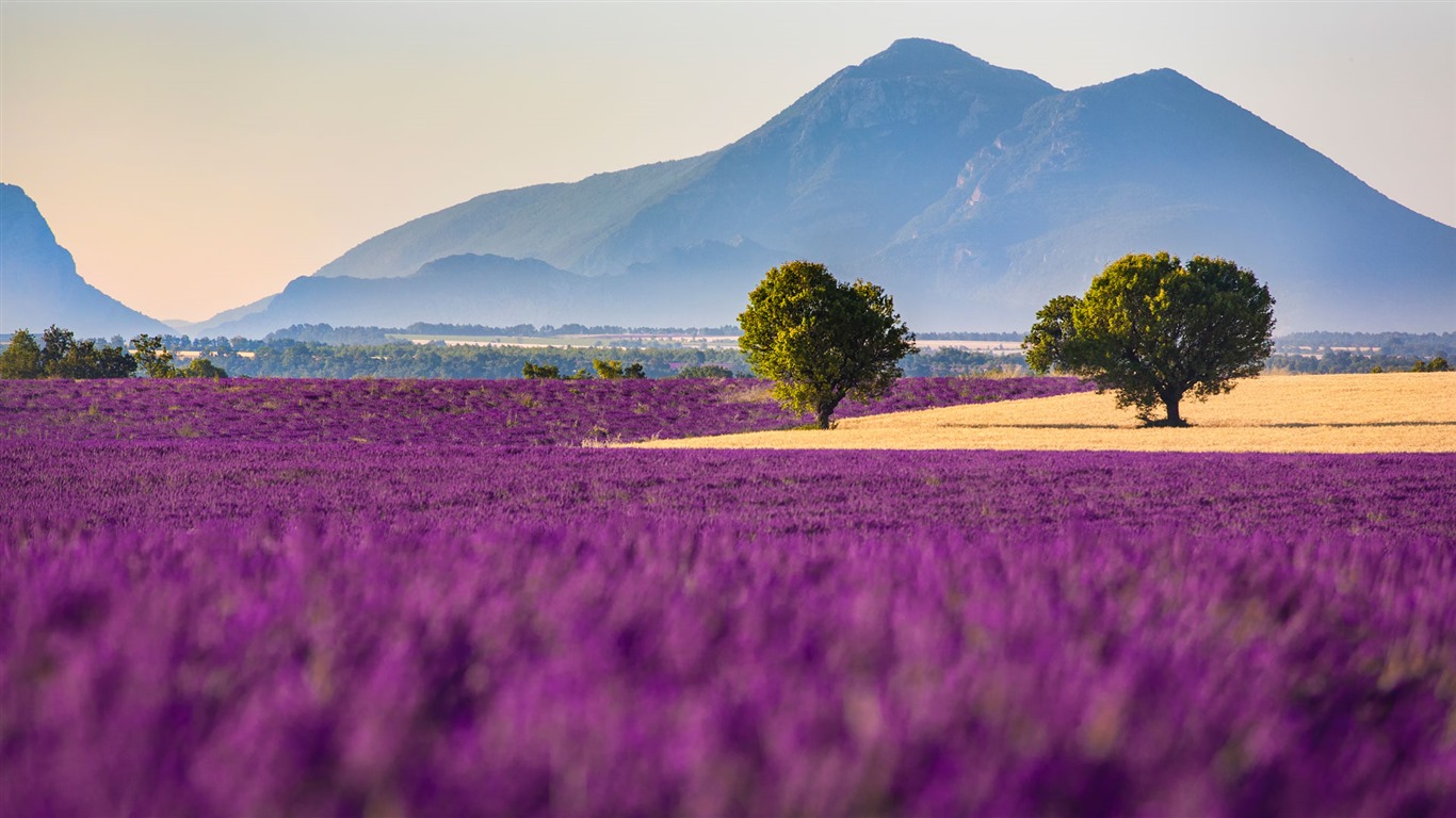 Septiembre de 2016 Bing tema HD fondos de pantalla (1) #31 - 1366x768