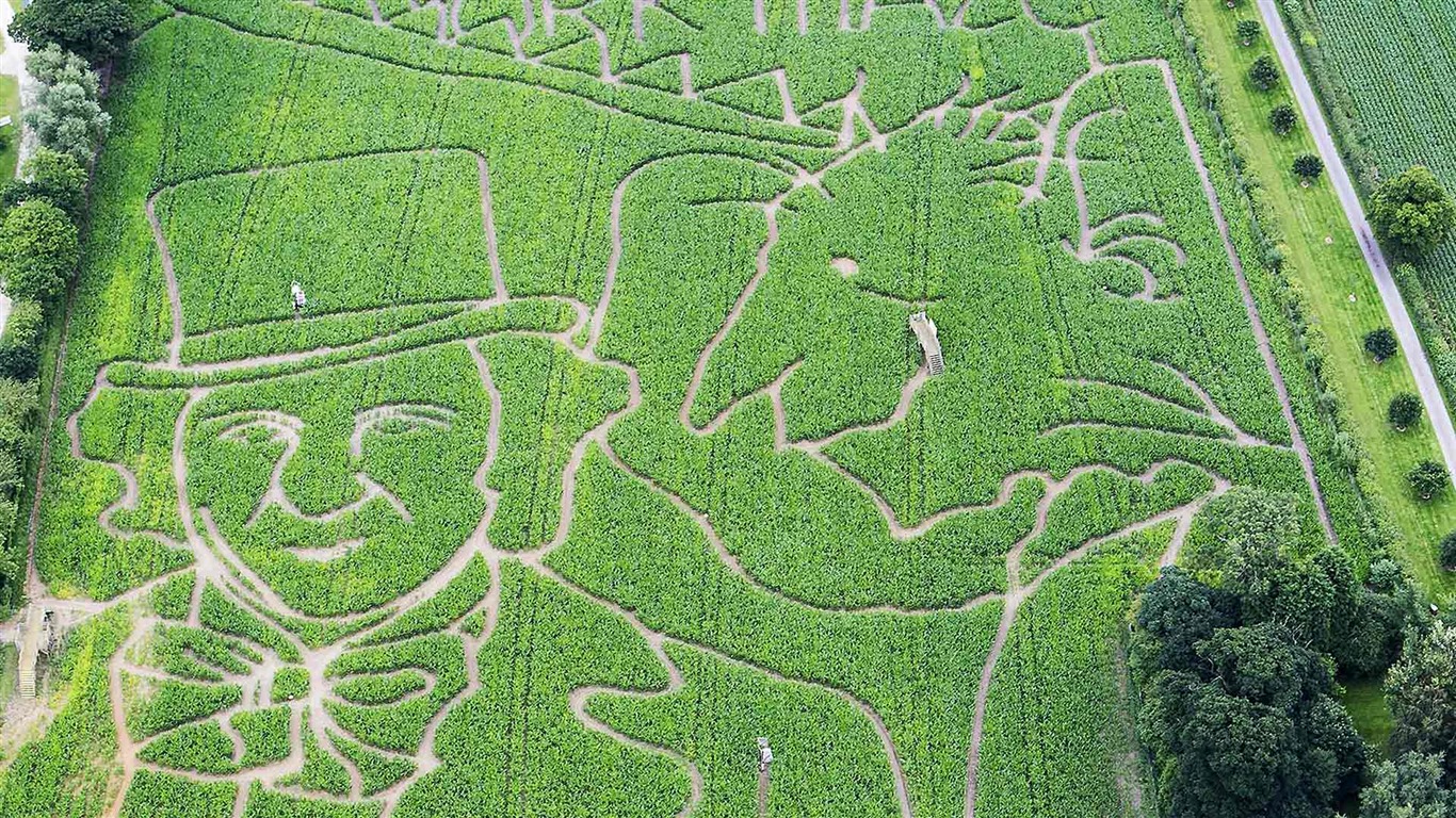 Septembre 2016 Bing thème Fonds d'écran HD (1) #32 - 1366x768