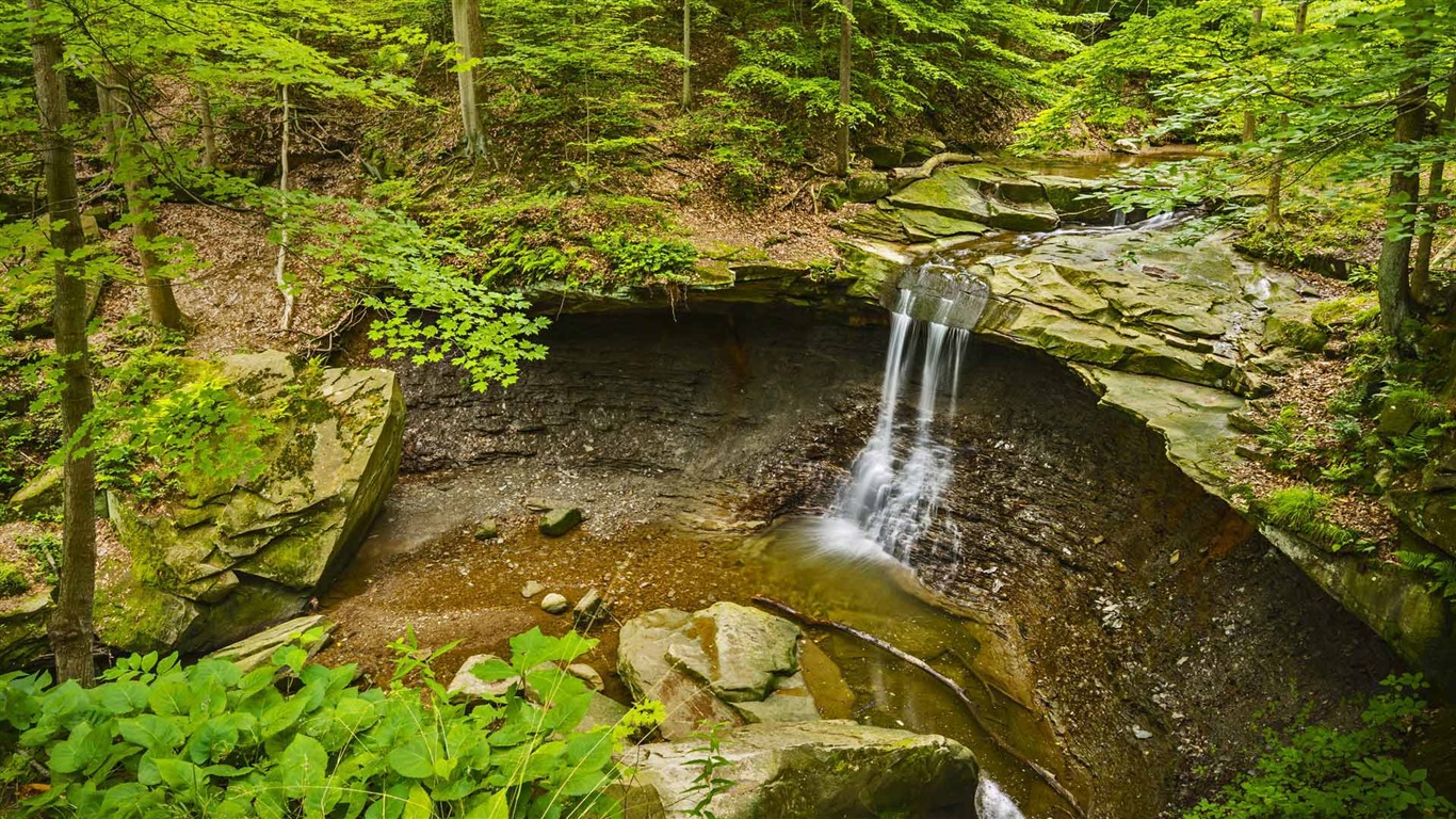 Září 2016 Bing téma HD tapety na plochu (1) #39 - 1366x768