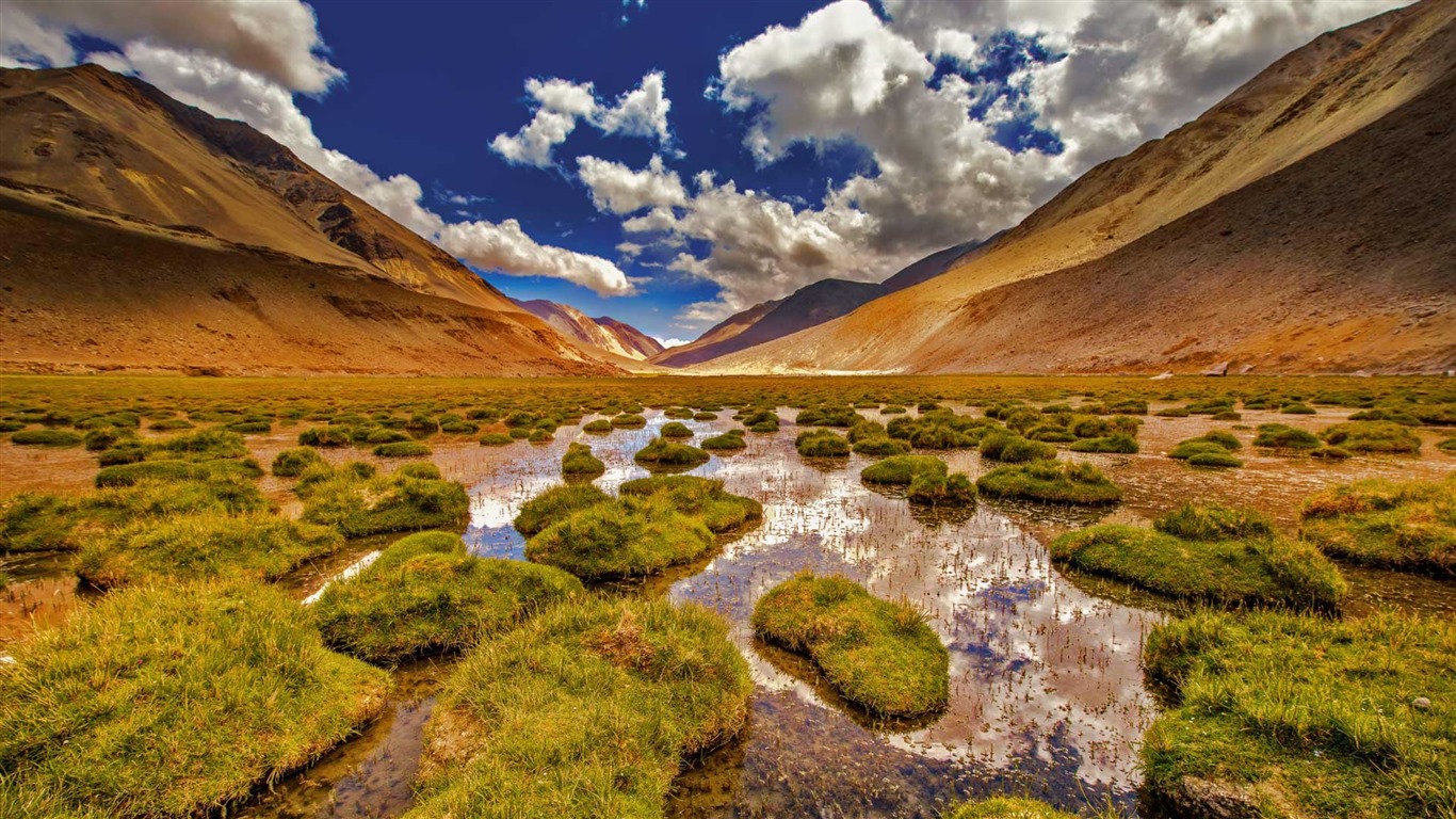 Septembre 2016 Bing thème Fonds d'écran HD (2) #5 - 1366x768