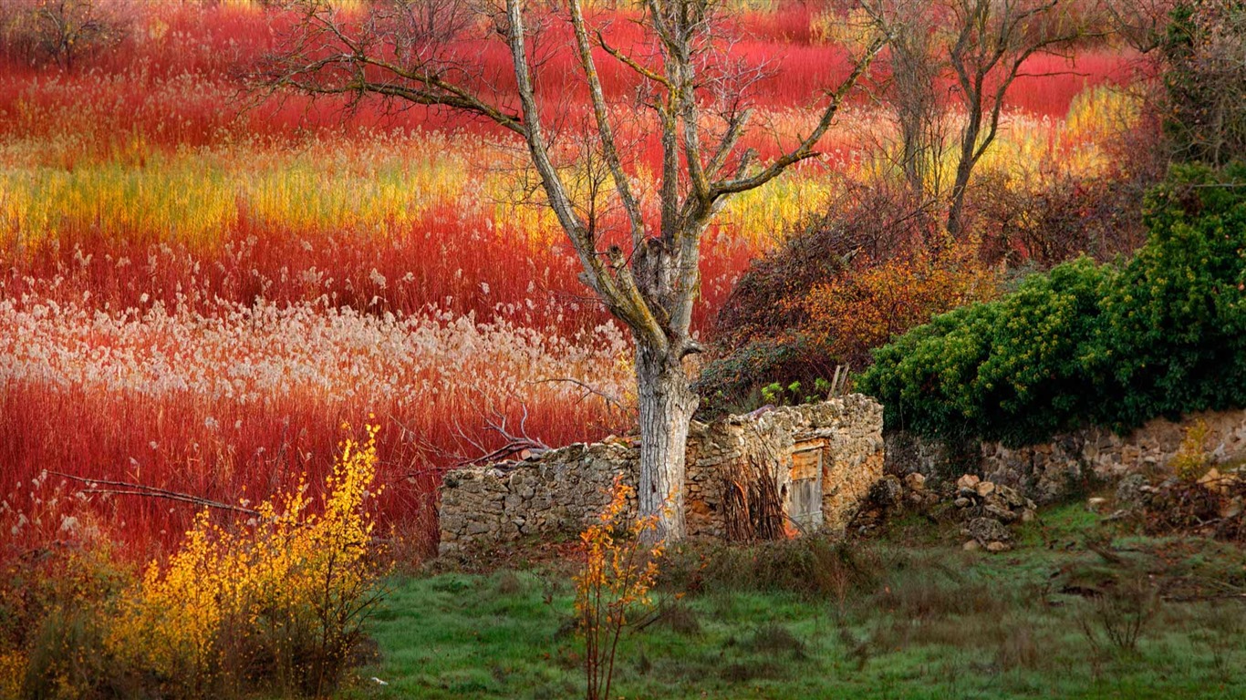 Septembre 2016 Bing thème Fonds d'écran HD (2) #11 - 1366x768