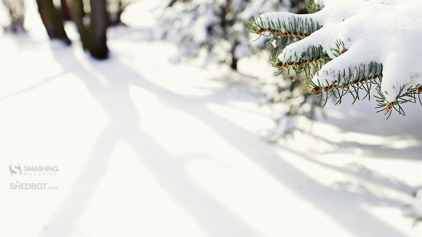 Décembre 2016 Fond d'écran calendrier thème Noël (2) #15 - 1366x768