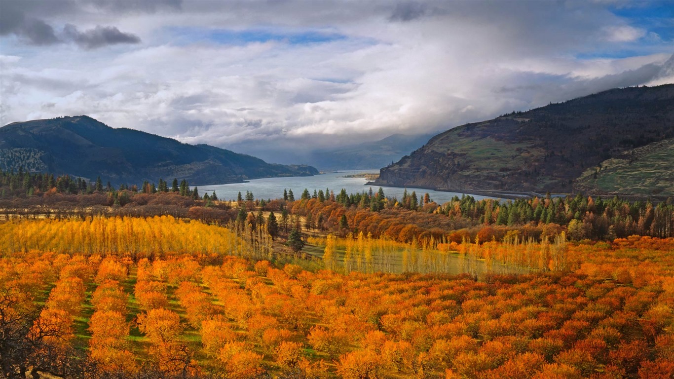 Octobre 2016 Bing thème HD fonds d'écran (1) #1 - 1366x768