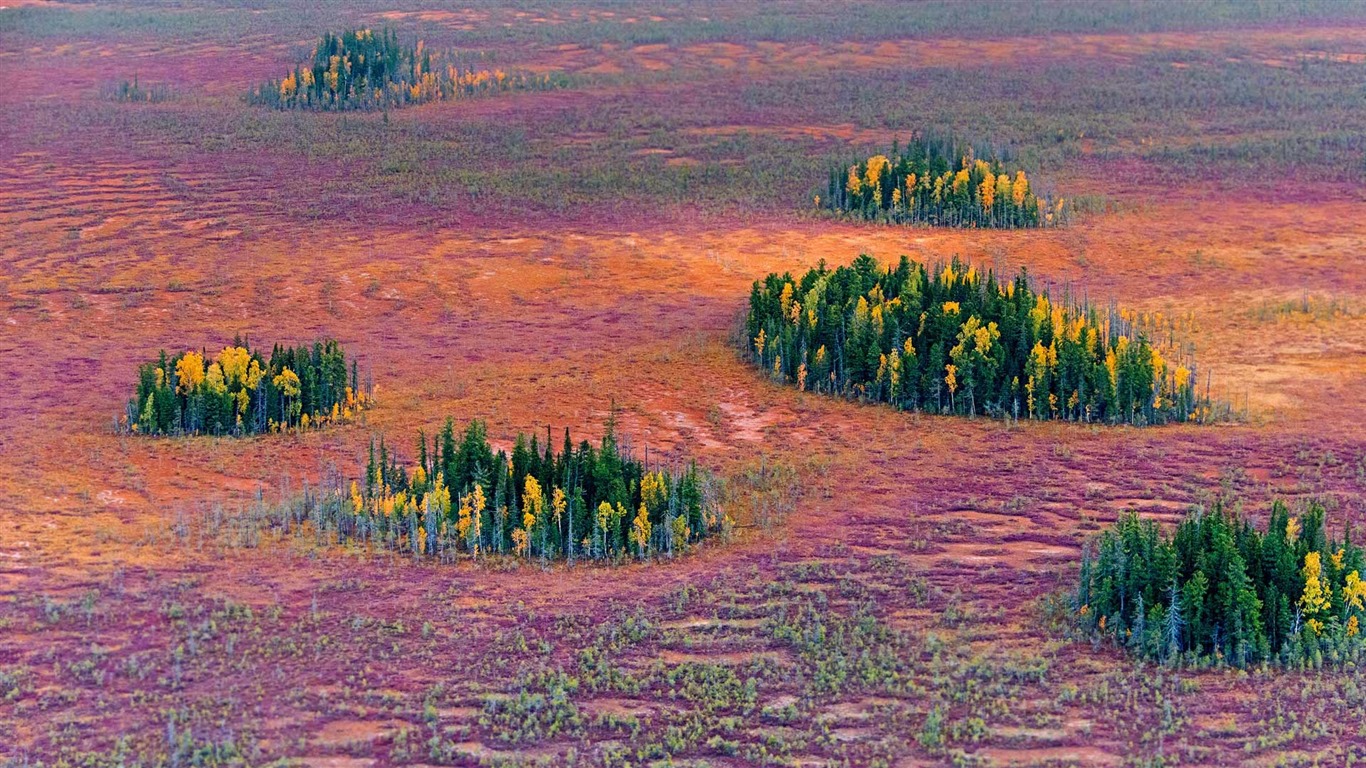 Octubre de 2016 Bing tema HD fondos de pantalla (1) #11 - 1366x768