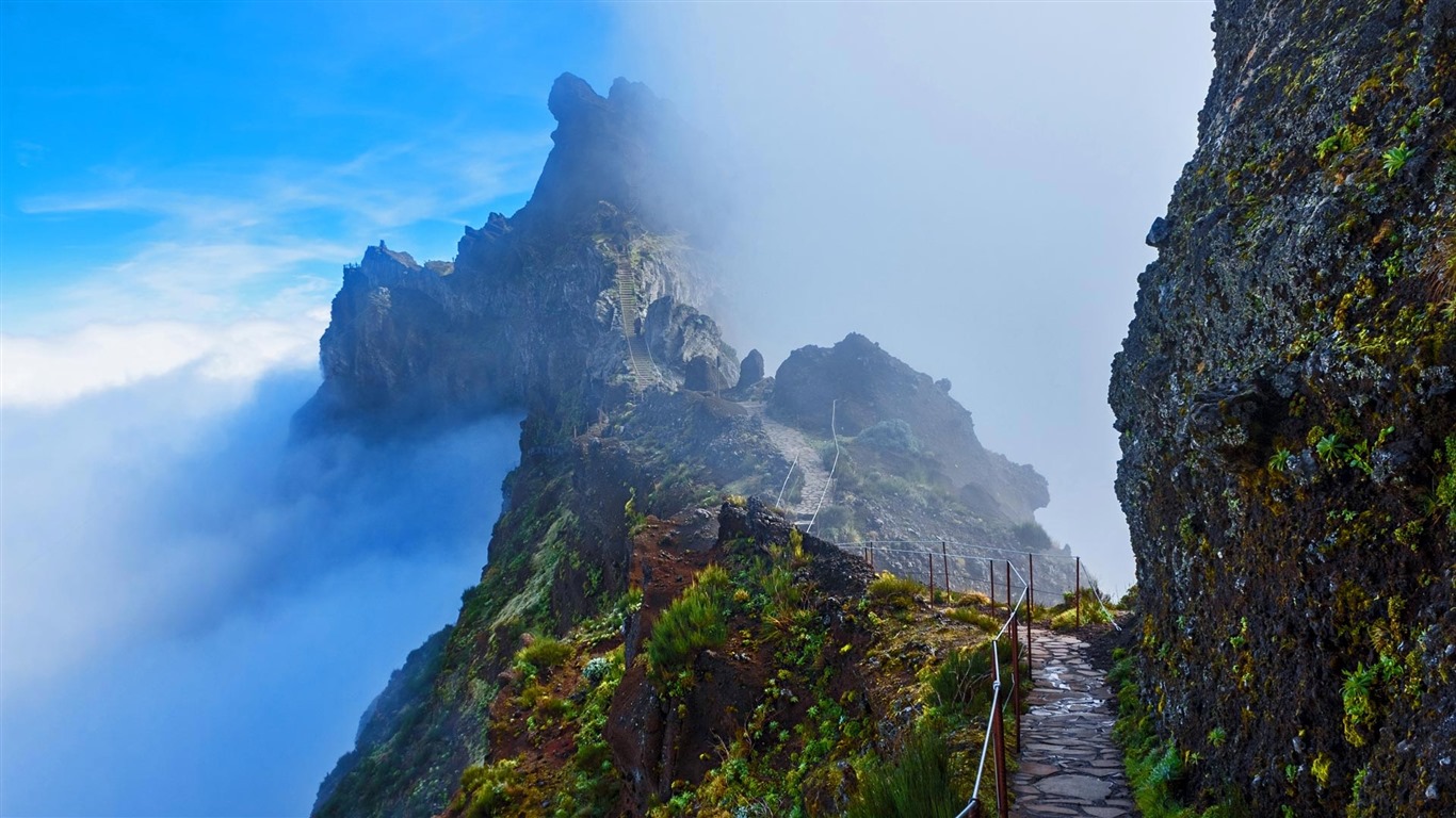 Octubre de 2016 Bing tema HD fondos de pantalla (1) #13 - 1366x768