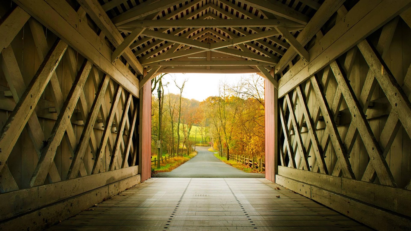 October 2016 Bing theme HD wallpapers (1) #18 - 1366x768