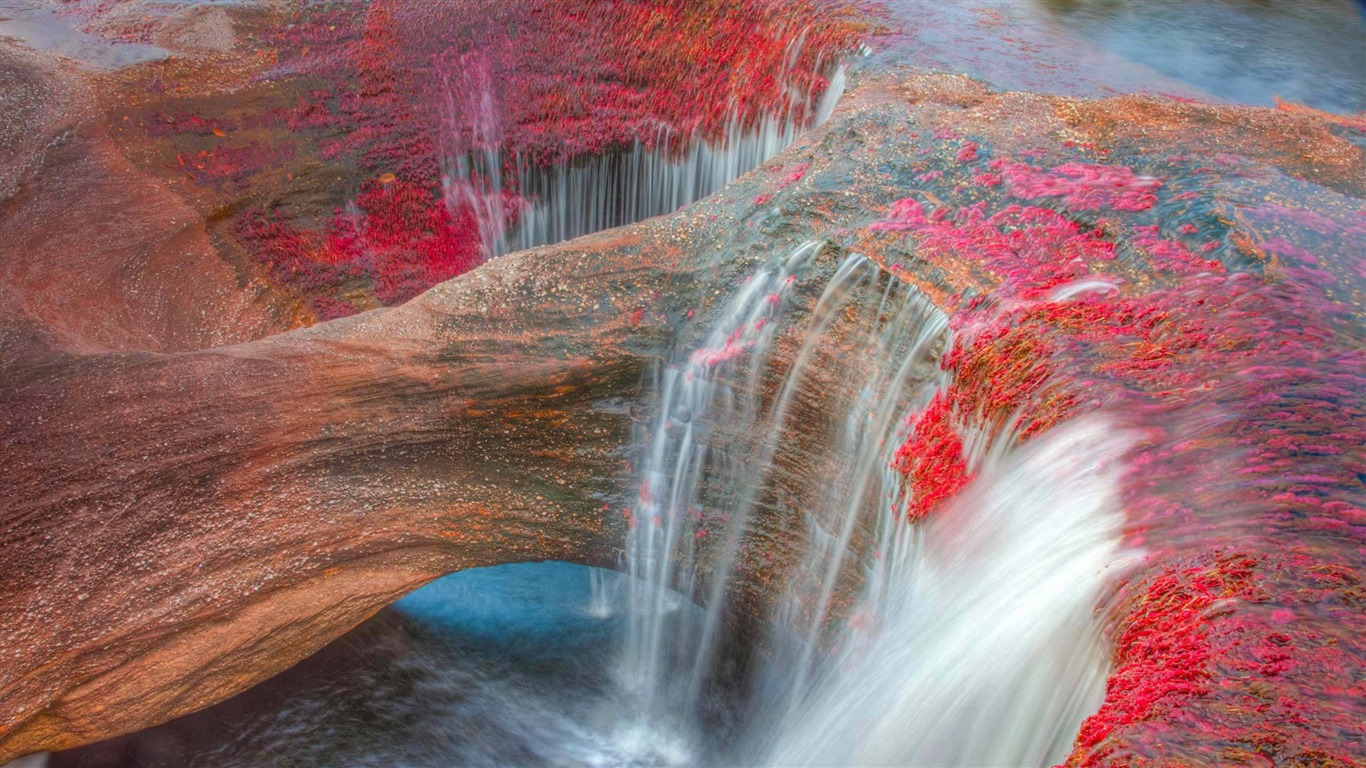 Octobre 2016 Bing thème HD fonds d'écran (1) #19 - 1366x768