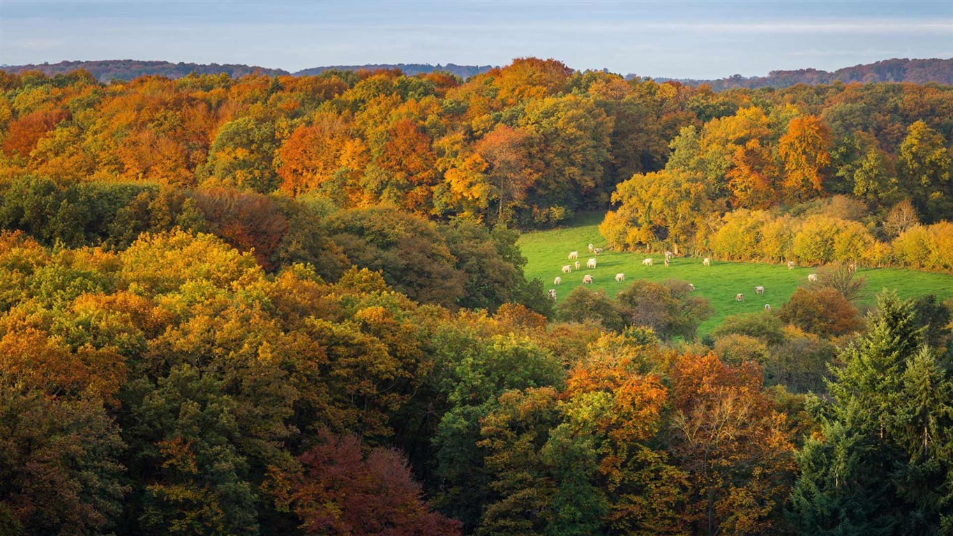 Octobre 2016 Bing thème HD fonds d'écran (1) #35 - 1366x768