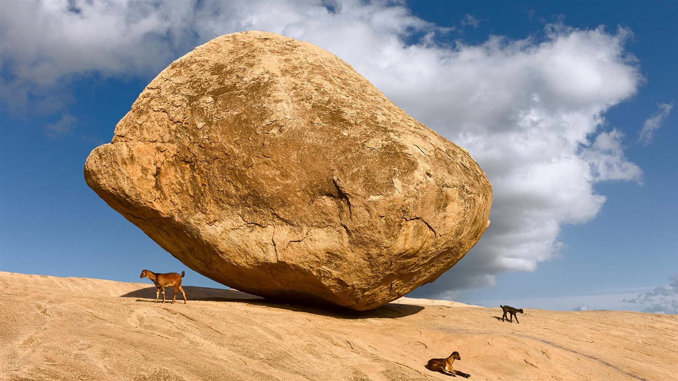 Octobre 2016 Bing thème HD fonds d'écran (2) #8 - 1366x768