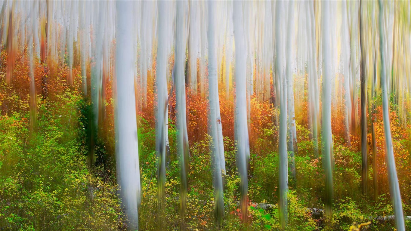 Oktober 2016 Bing Thema HD Hintergrundbilder (2) #11 - 1366x768