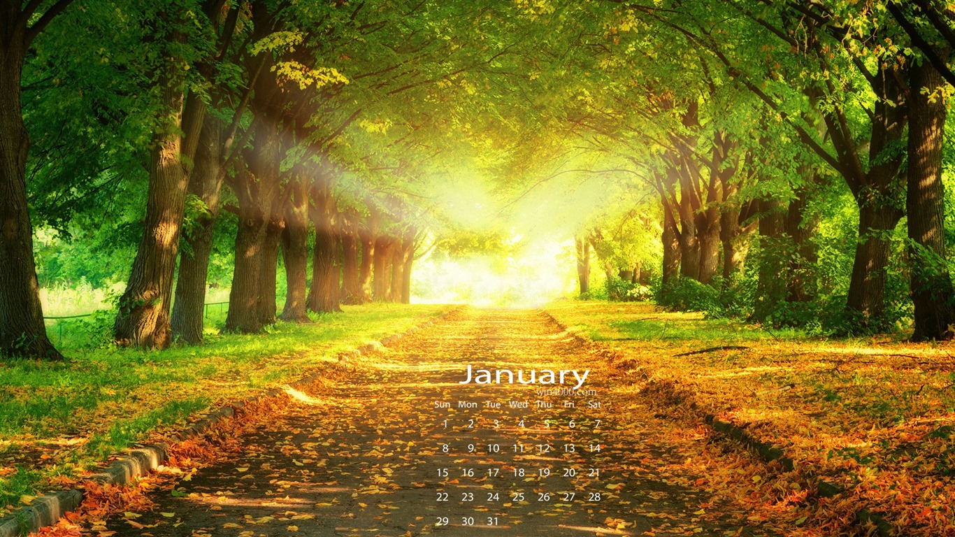 January 2017 calendar wallpaper (1) #2 - 1366x768