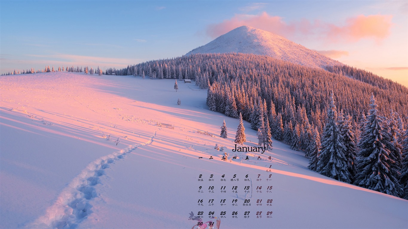 Fond d'écran janvier 2017 calendrier (1) #7 - 1366x768