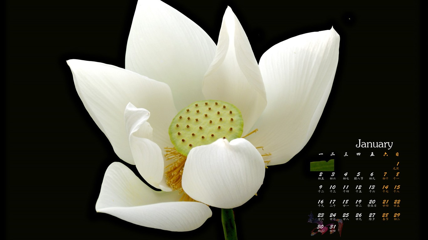 January 2017 calendar wallpaper (1) #9 - 1366x768