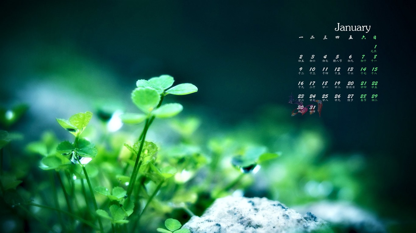 January 2017 calendar wallpaper (1) #10 - 1366x768