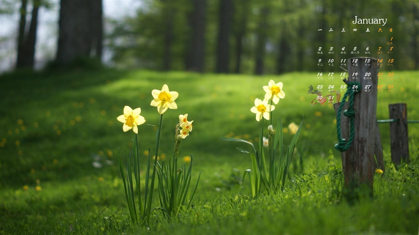 January 2017 calendar wallpaper (1) #11 - 1366x768