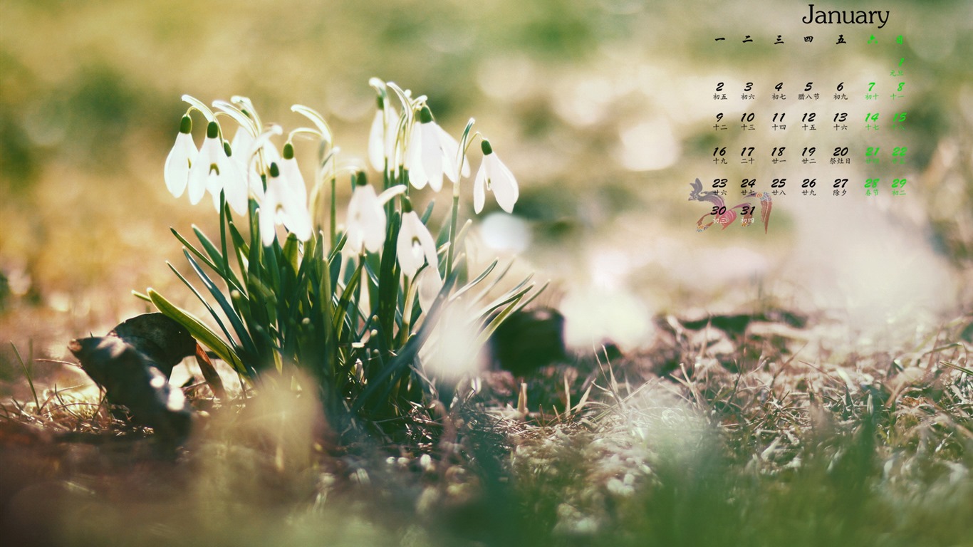 January 2017 calendar wallpaper (1) #14 - 1366x768