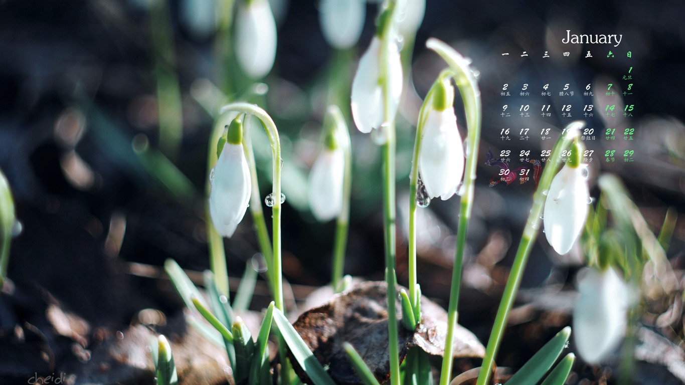 January 2017 calendar wallpaper (1) #15 - 1366x768