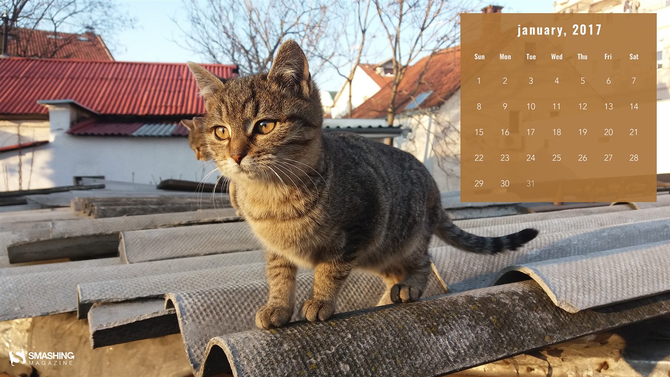 Januar 2017 Kalender Hintergrund (2) #12 - 1366x768