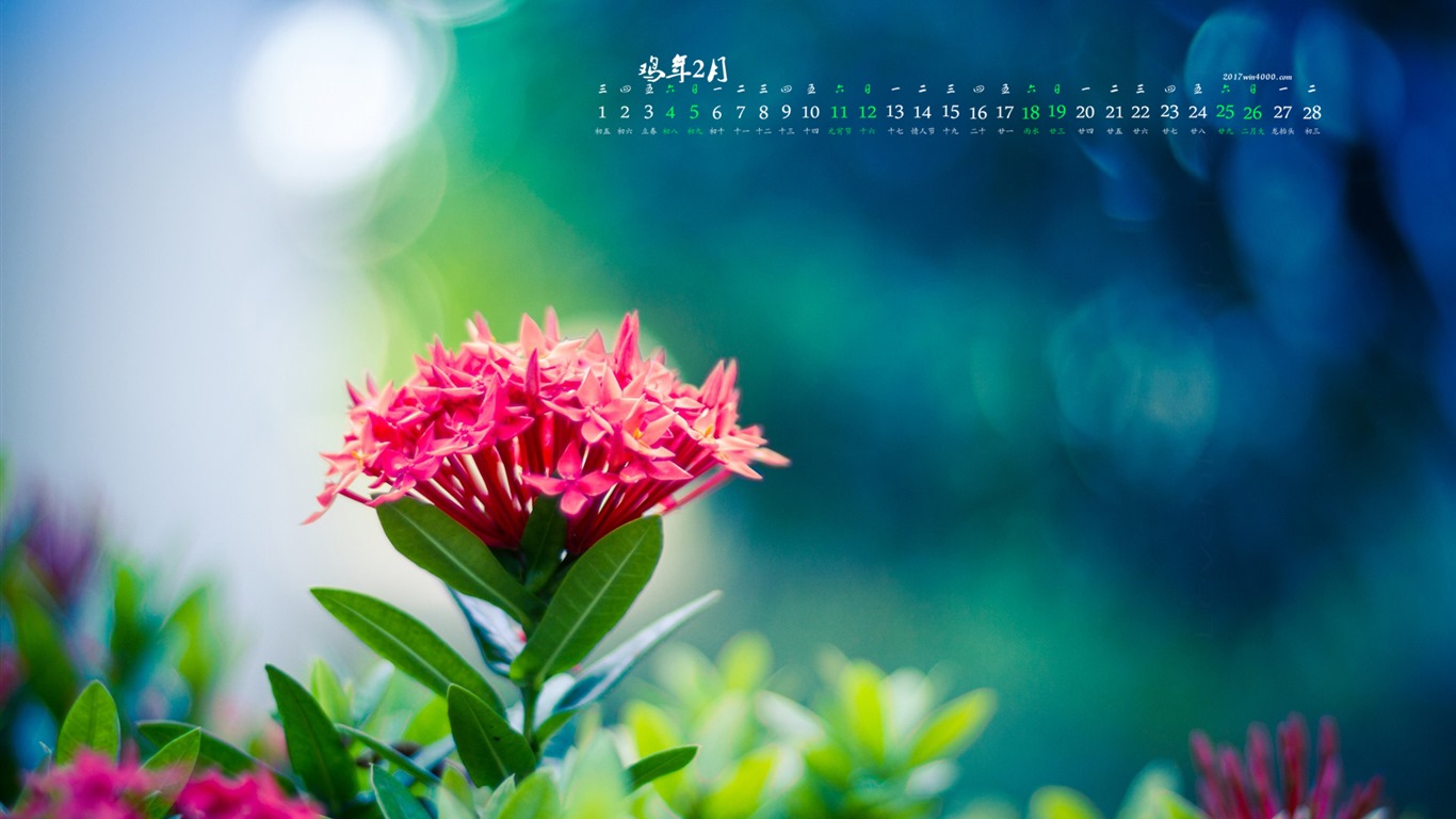 Fondo de escritorio de calendario de febrero de 2017 (1) #3 - 1366x768