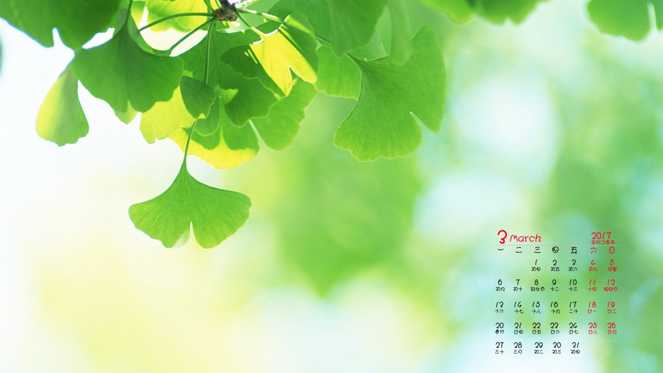 Fondo de pantalla del calendario de marzo de 2017 (1) #4 - 1366x768