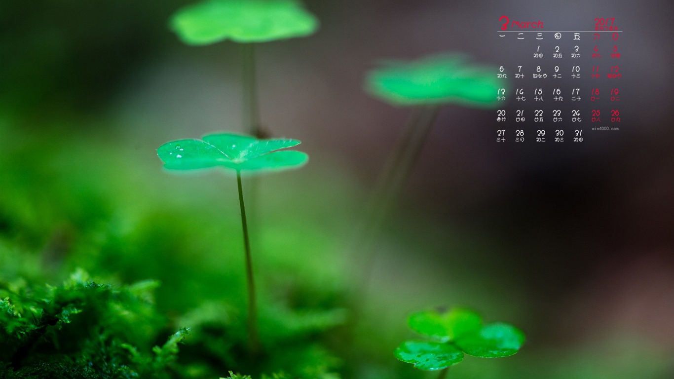 Fondo de pantalla del calendario de marzo de 2017 (1) #5 - 1366x768