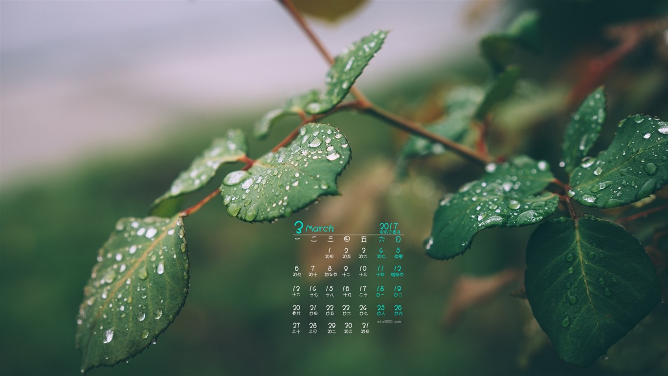 Fondo de pantalla del calendario de marzo de 2017 (1) #7 - 1366x768