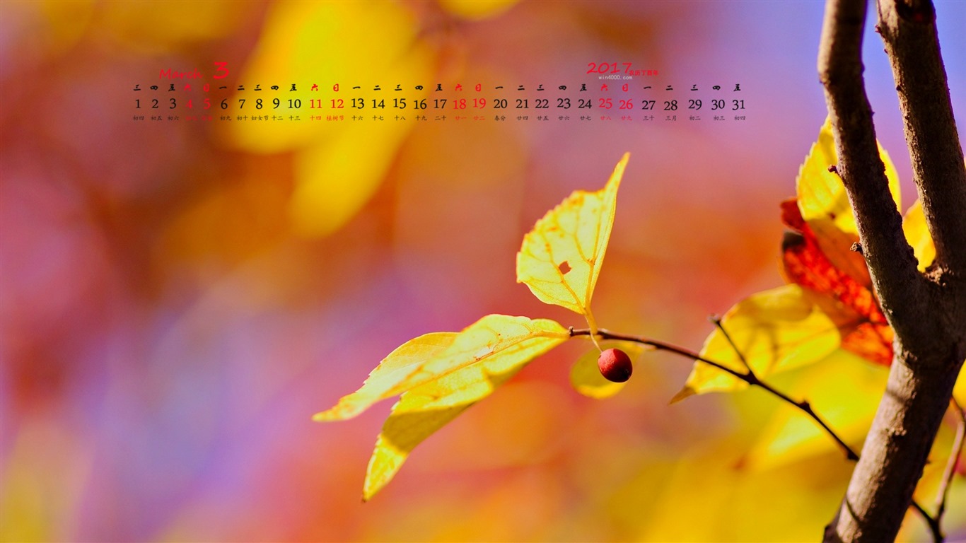 Fondo de pantalla del calendario de marzo de 2017 (1) #8 - 1366x768