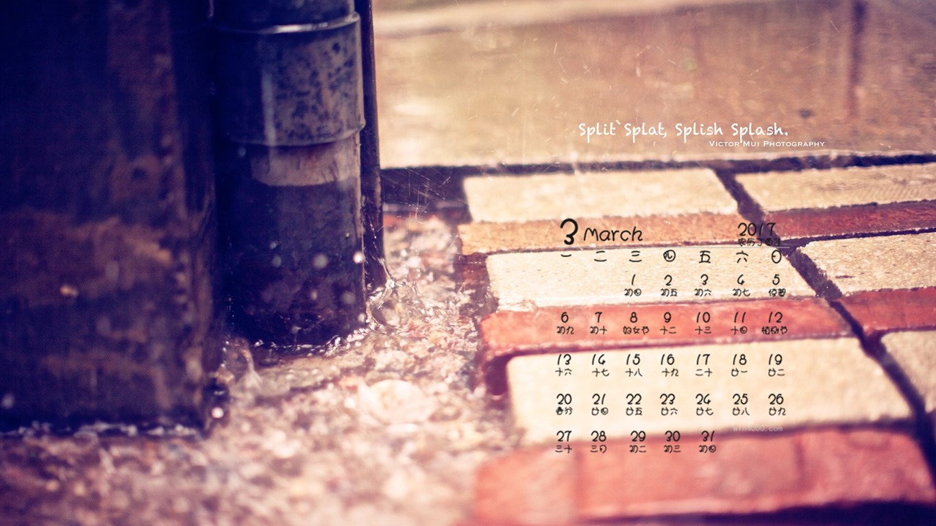 March 2017 calendar wallpaper (1) #14 - 1366x768