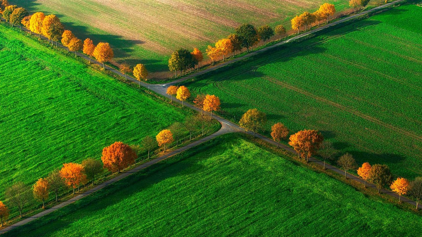 Listopadu 2016 Bing téma HD tapety na plochu (1) #12 - 1366x768