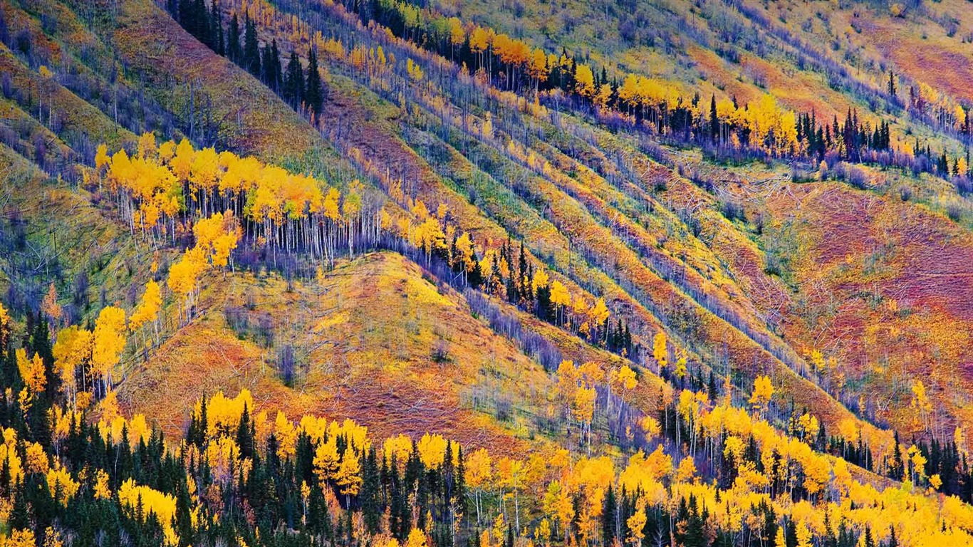 Listopadu 2016 Bing téma HD tapety na plochu (1) #32 - 1366x768