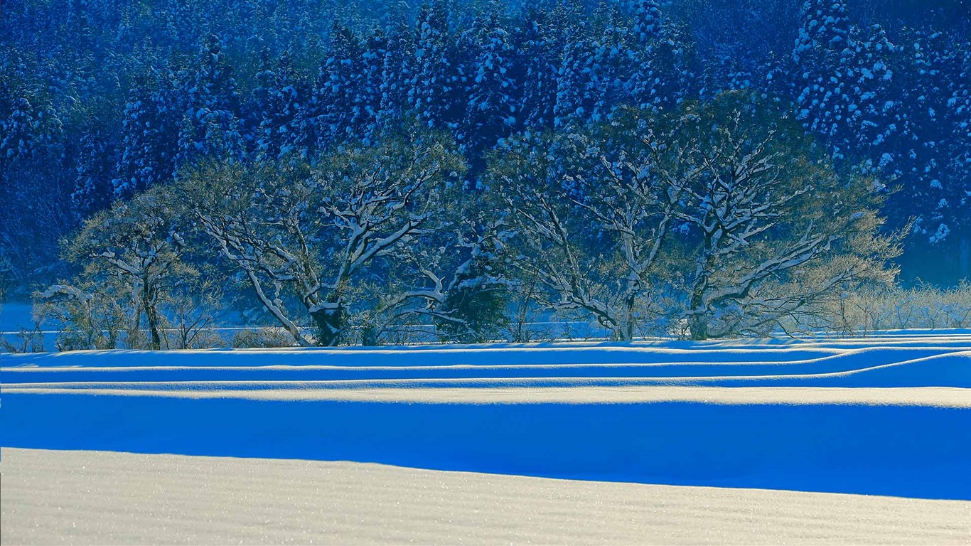 Listopadu 2016 Bing téma HD tapety na plochu (2) #14 - 1366x768