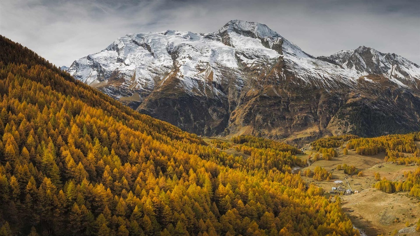 Novembre 2016 Bing thème HD fonds d'écran (2) #25 - 1366x768