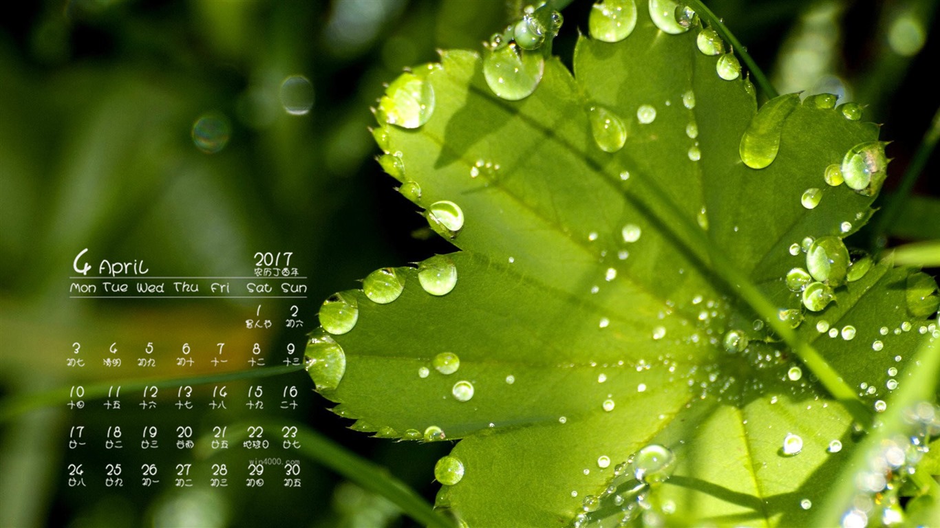 2017年4月 月历壁纸(一)8 - 1366x768