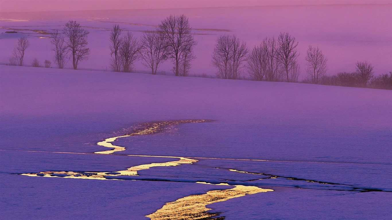 Diciembre 2016 Bing tema HD fondos de pantalla (1) #30 - 1366x768