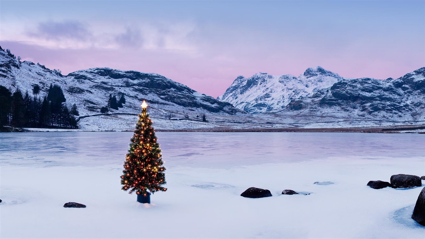 Diciembre 2016 Bing tema HD fondos de pantalla (2) #9 - 1366x768