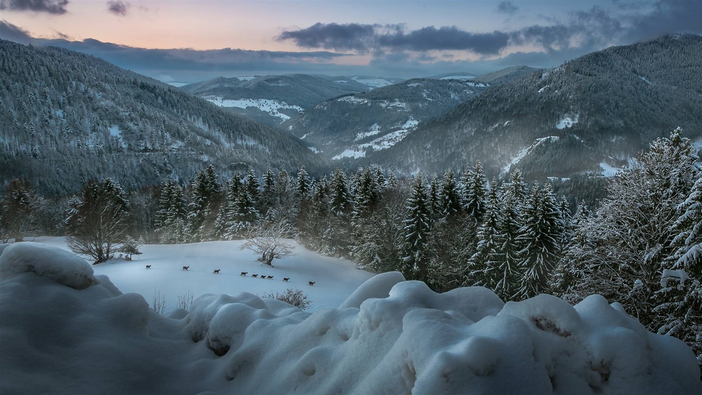 Diciembre 2016 Bing tema HD fondos de pantalla (2) #30 - 1366x768