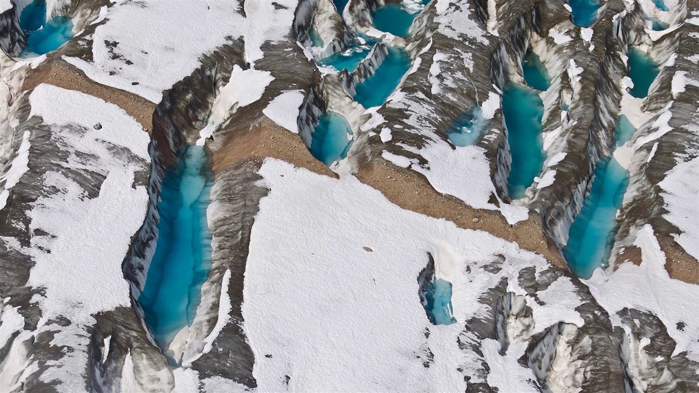 Janvier 2017 thème Bing du fond d'écran haute définition (2) #30 - 1366x768