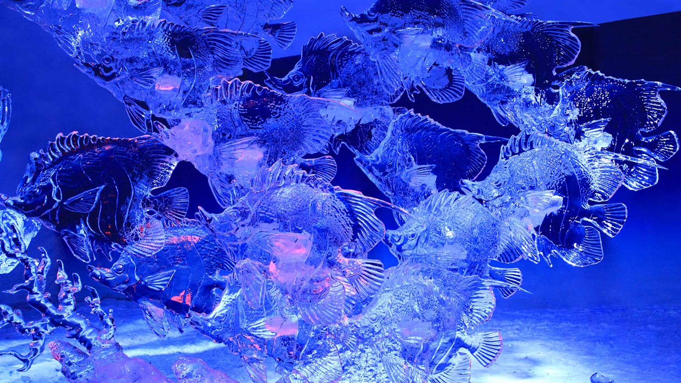 Únor 2017 Bing téma tapety s vysokým rozlišením (1) #34 - 1366x768