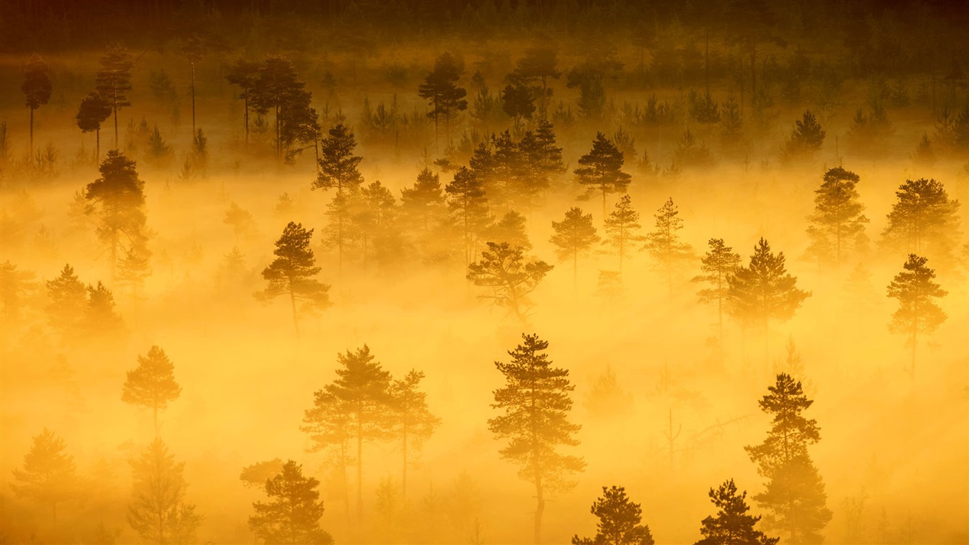 February 2017 Bing theme of high-definition wallpaper (2) #3 - 1366x768