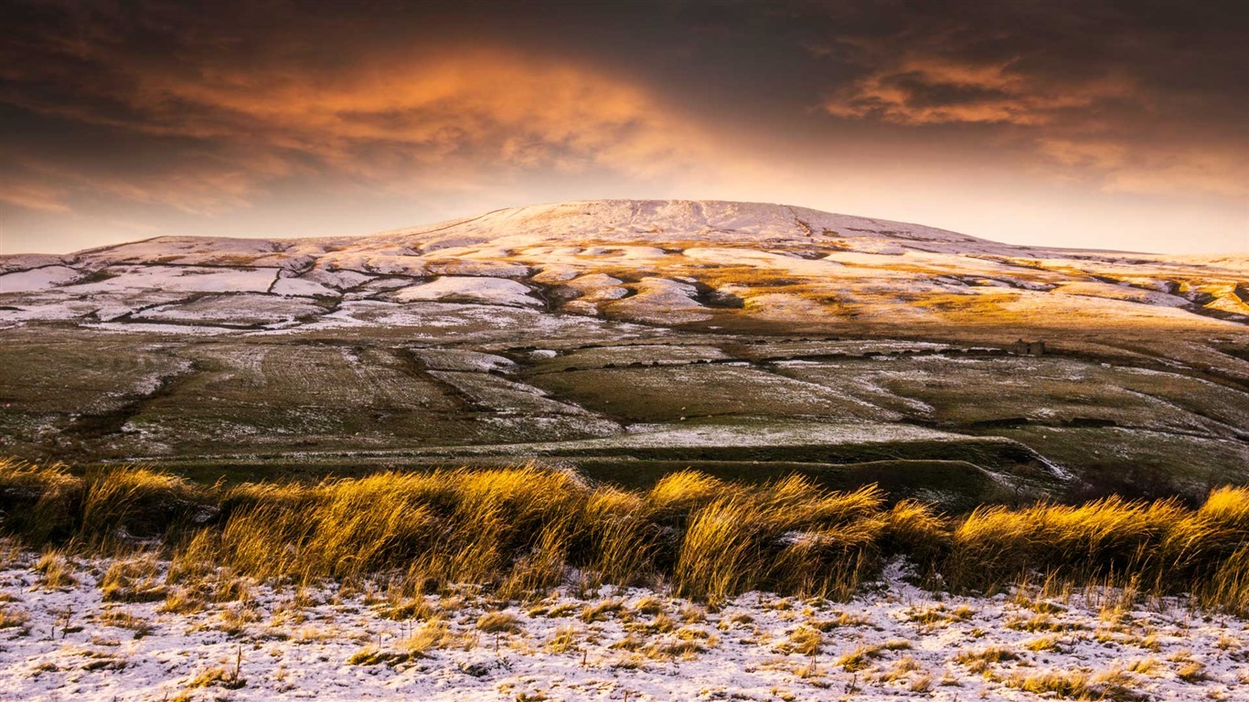 February 2017 Bing theme of high-definition wallpaper (2) #9 - 1366x768