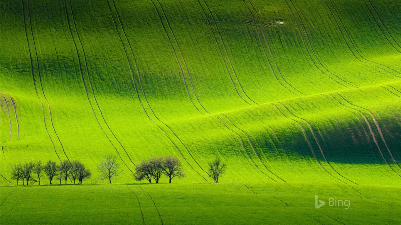 Duben 2017 Bing téma tapety s vysokým rozlišením #22 - 1366x768