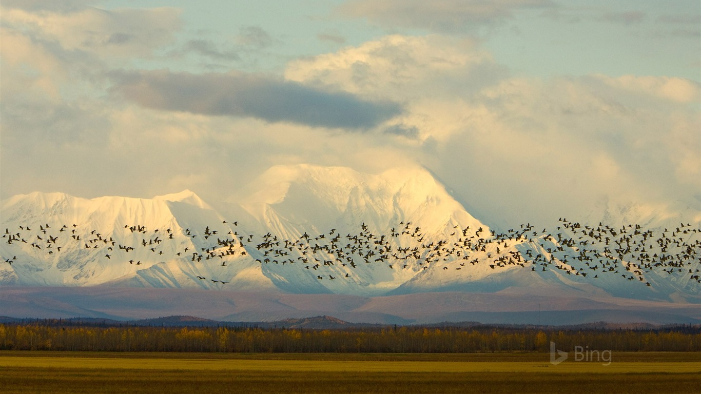 Mayo de 2017 Tema de Bing de fondo de pantalla de alta definición #14 - 1366x768