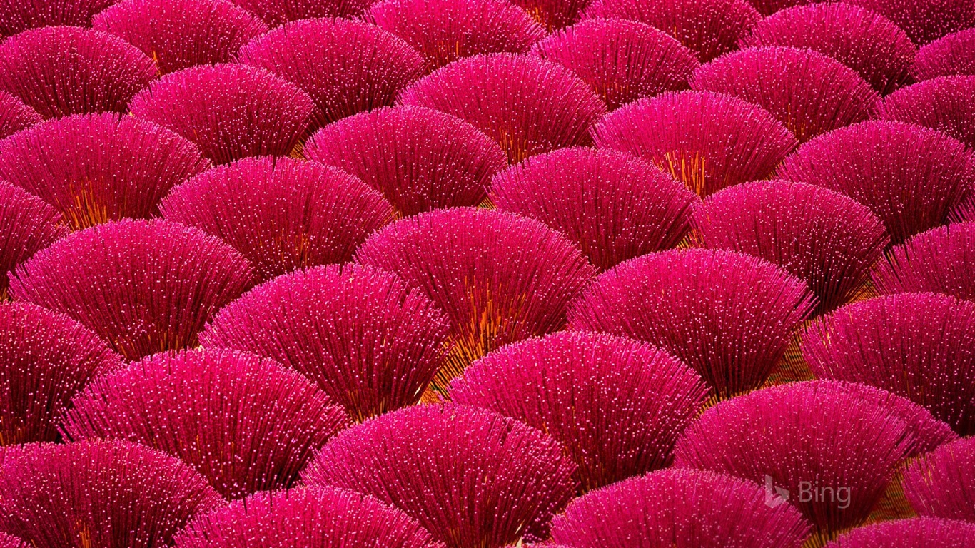 Mai 2017 Bing Thema der hochauflösenden Hintergrundbild #16 - 1366x768