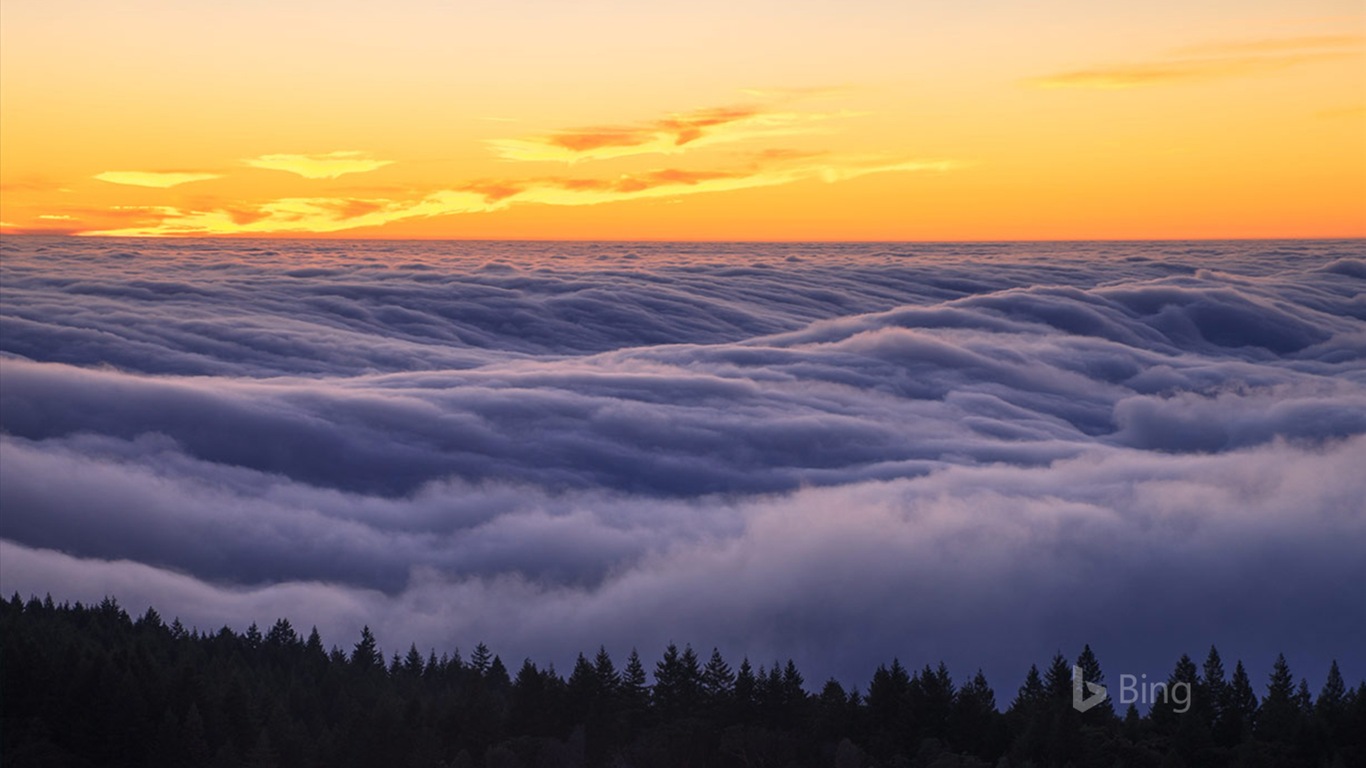 Květen 2017 Bing téma tapety s vysokým rozlišením #31 - 1366x768