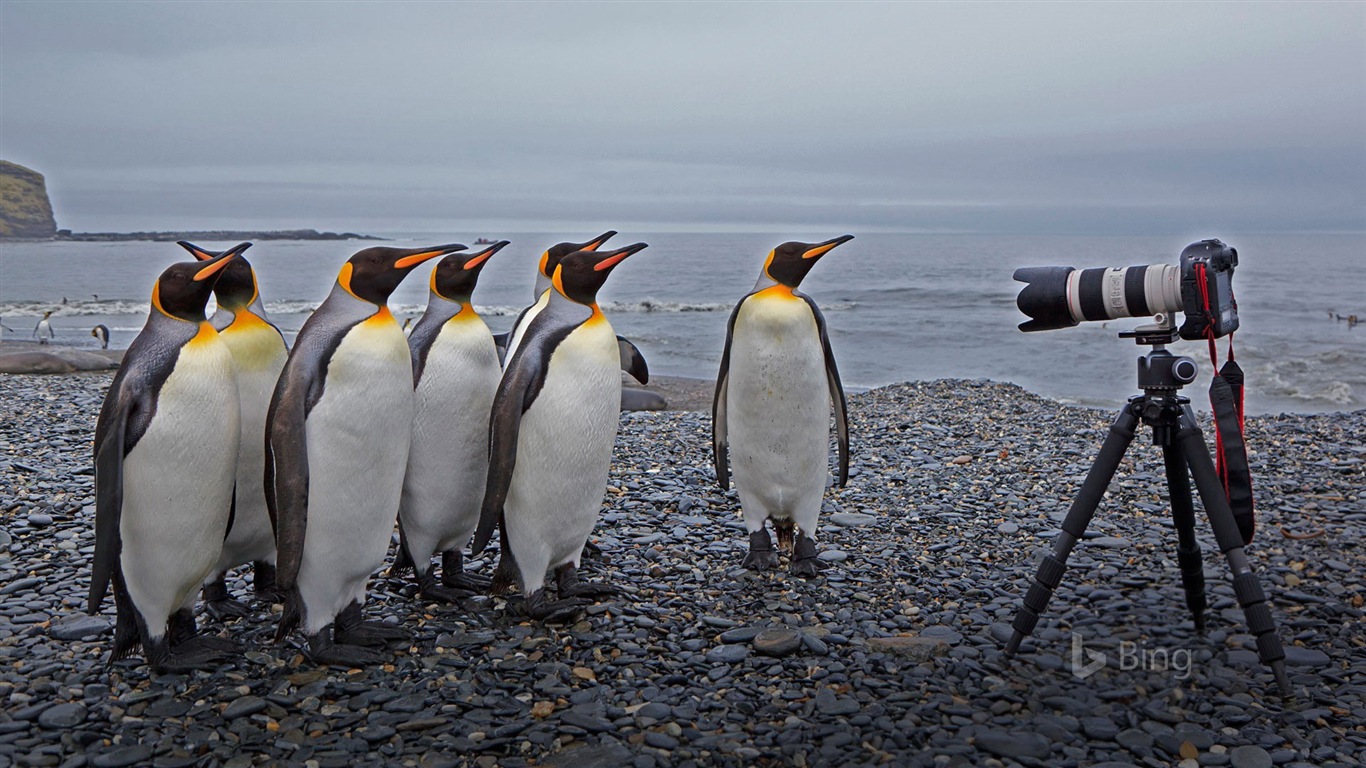 August 2017 Bing-Thema HD Tapete #18 - 1366x768