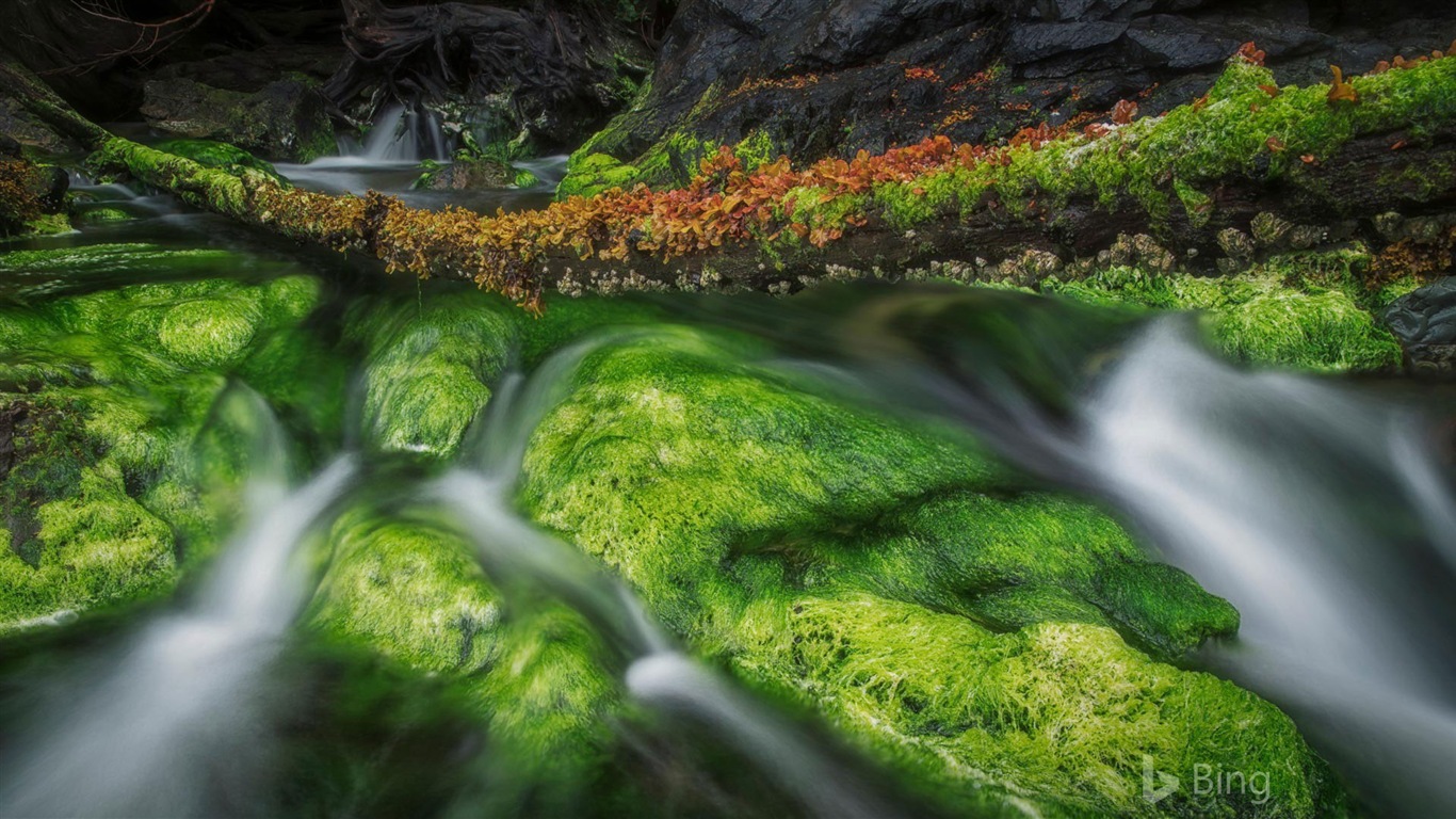 Septiembre de 2017 fondo de pantalla Bing theme HD #18 - 1366x768