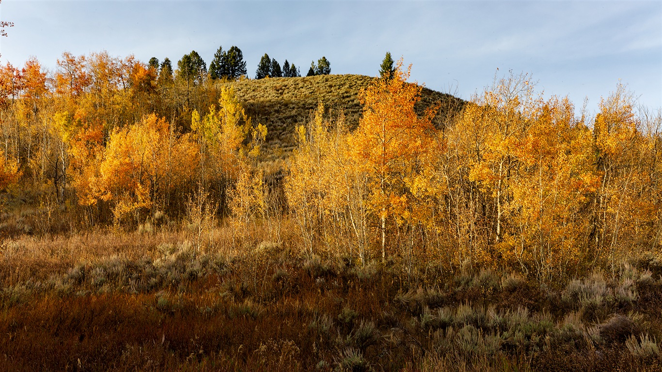 アメリカグランドティトン国立公園、自然の風景のHDの壁紙 #14 - 1366x768